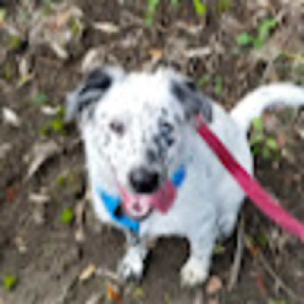 Meet your Posher, Kyndal